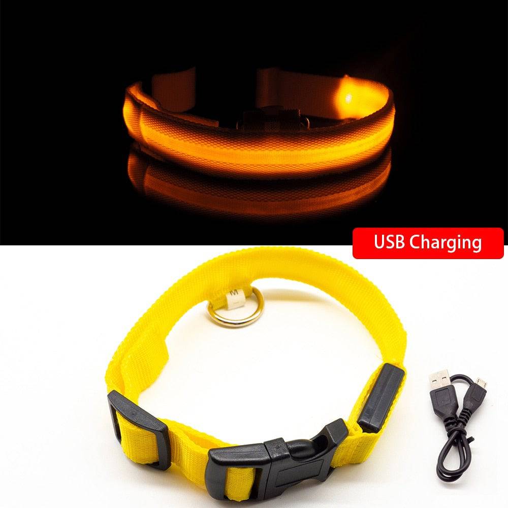 USB Charging/Battery replacement Led Dog Collar Anti-Lost Collar For Dogs Puppies Dog Collars Leads LED Supplies Pet Products - Quid Mart