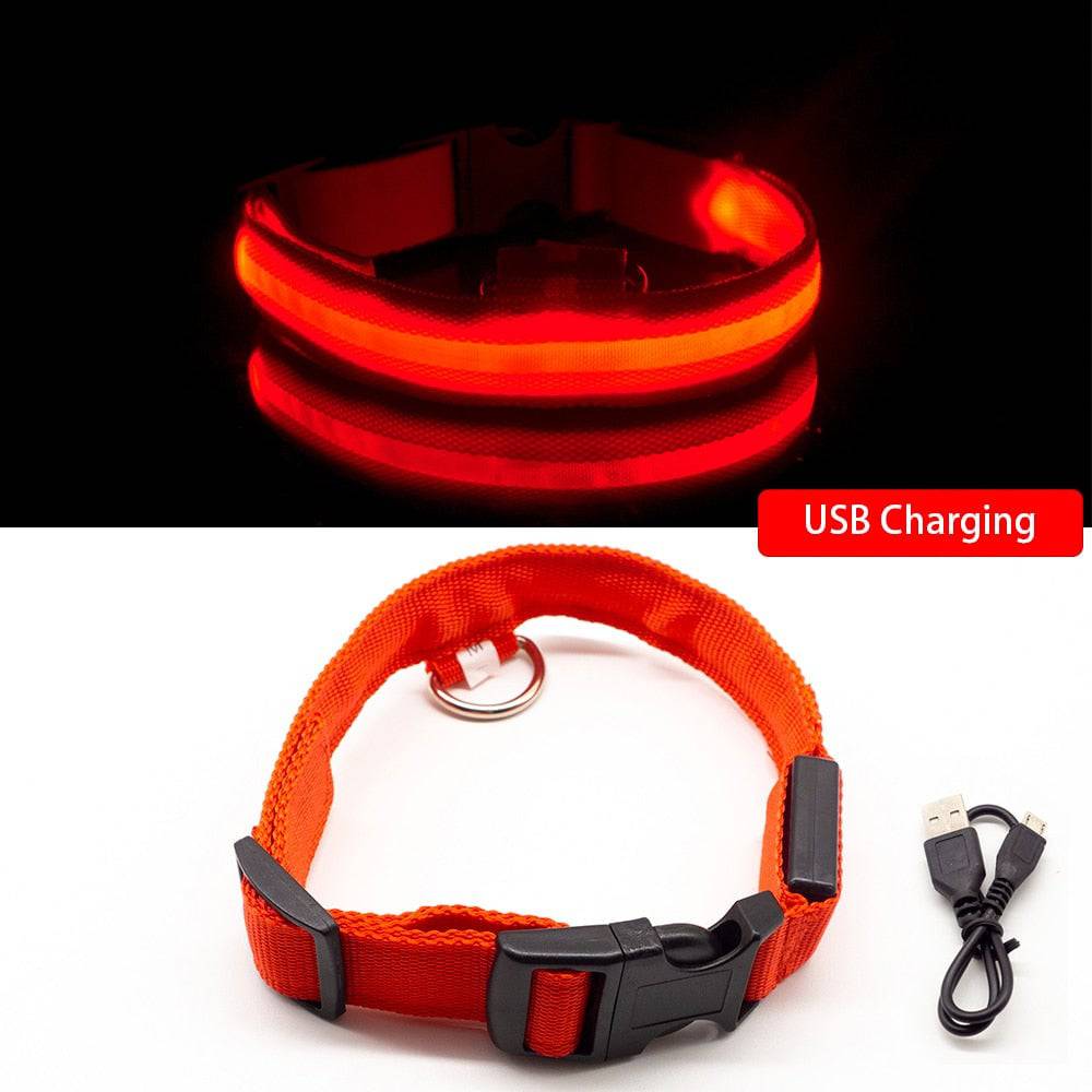 USB Charging/Battery replacement Led Dog Collar Anti-Lost Collar For Dogs Puppies Dog Collars Leads LED Supplies Pet Products - Quid Mart