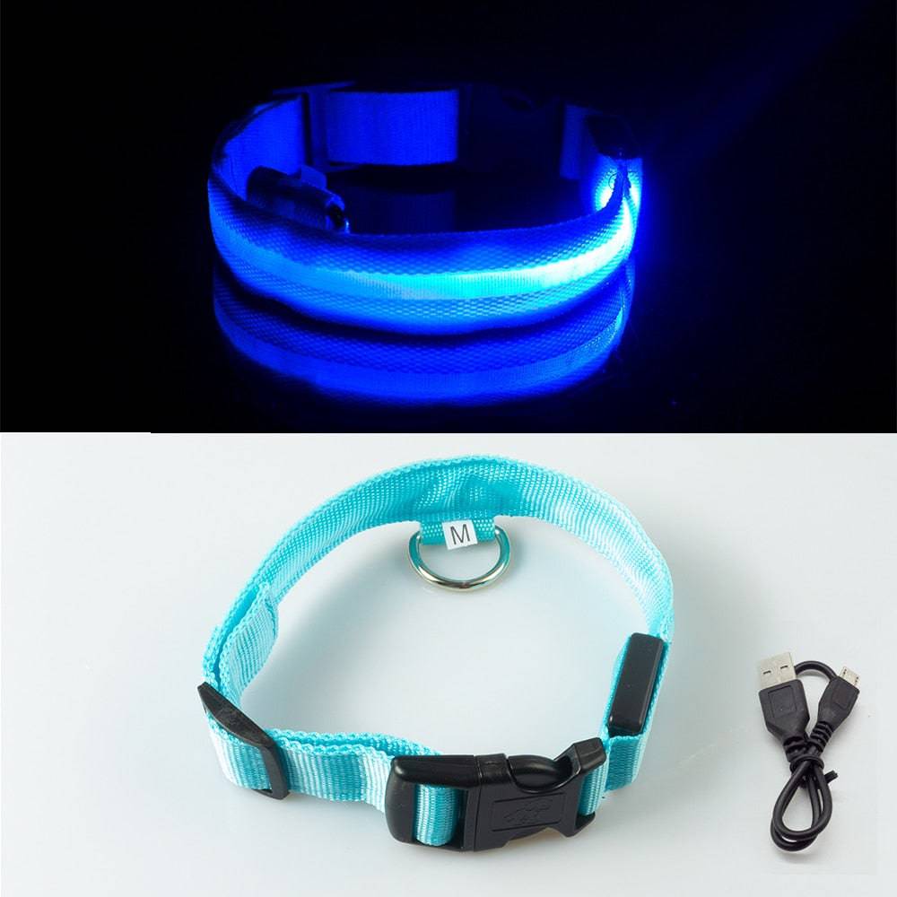 USB Charging/Battery replacement Led Dog Collar Anti-Lost Collar For Dogs Puppies Dog Collars Leads LED Supplies Pet Products - Quid Mart