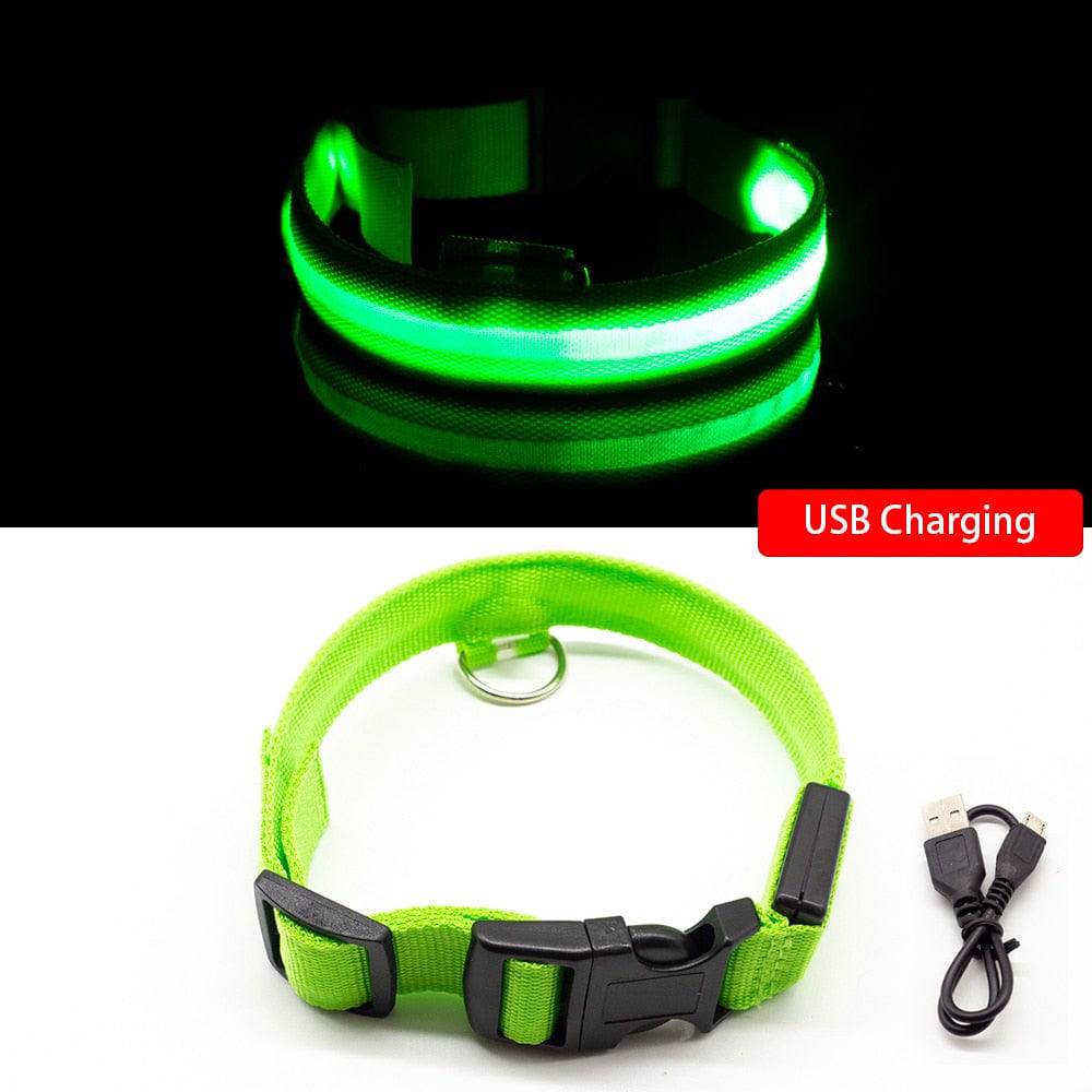 USB Charging/Battery replacement Led Dog Collar Anti-Lost Collar For Dogs Puppies Dog Collars Leads LED Supplies Pet Products - Quid Mart