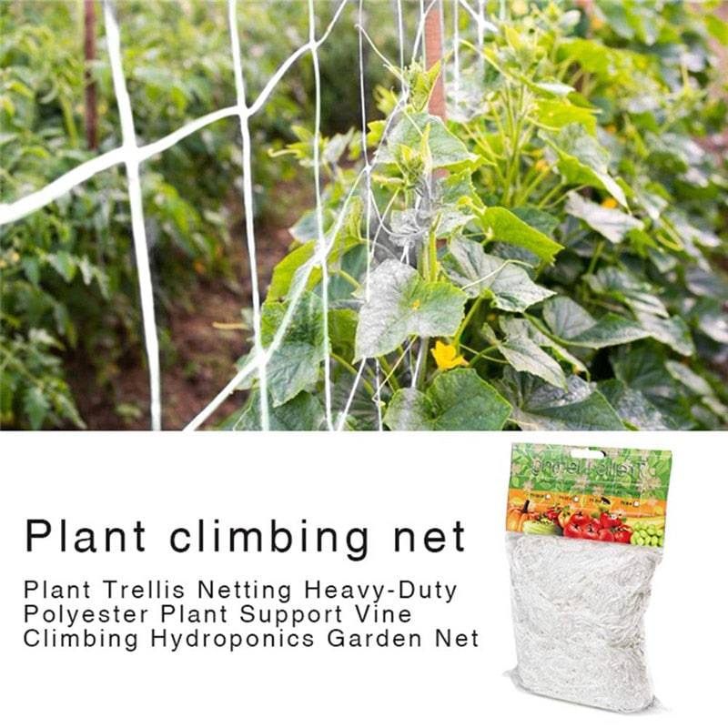 Plant Trellis Netting Heavy-Duty Polyester Plant Support Vine Climbing Hydroponics Garden Net Accessories Multi Use - Quid Mart