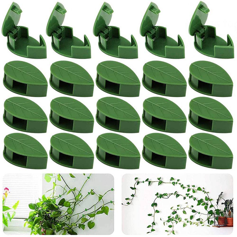 10-40 PCS Plant Climbing Wall Fixture Clips  Self-Adhesive Invisible Vines Hook  Support Garden Wall Fixer Wire Fixing Snap - Quid Mart