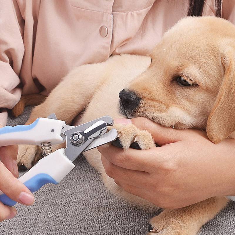 Pet Nail Clipper Scissors Pet Dog Cat Nail Toe Claw Clippers Scissors Trimmer Grooming Tools for Animals Pet Supplies - Quid Mart