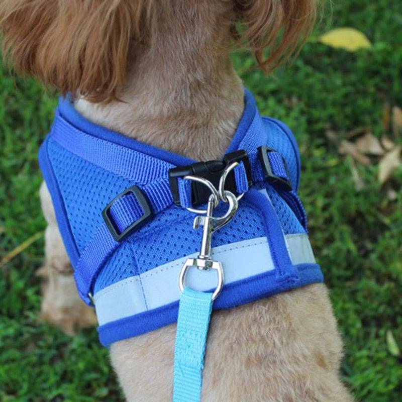 Vest Harness Leash Adjustable Mesh Vest Dog Harness Collar Chest Strap Leash Harnesses With Traction Rope XS/S/M/L/XL - Quid Mart