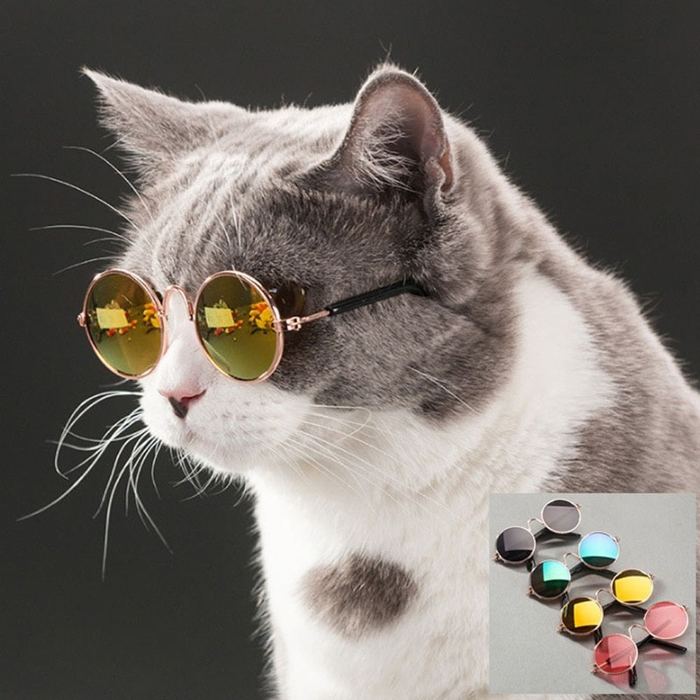 Pet Cat Dog Glasses Pet Products for Little Dog Cat Eye Wear Dog Sunglasses Kitten Accessories Pet Supplies Cat Toy - Quid Mart