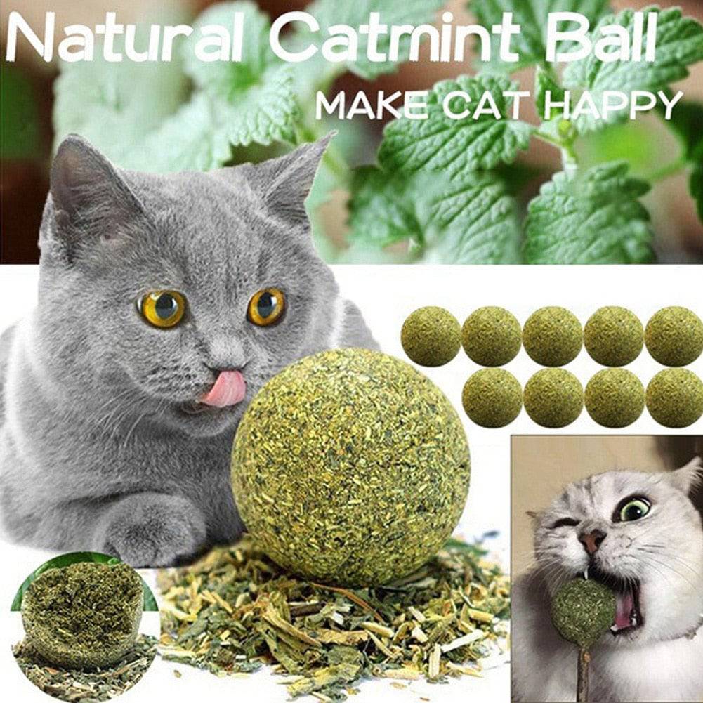 Pet Catnip Toys Edible Catnip Ball Safety Healthy Cat Mint Cats Home Chasing Game Toy Products Clean Teeth The Stomach Catmint - Quid Mart